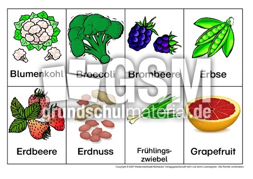 Obst-Gemüse-Früchte-2.pdf